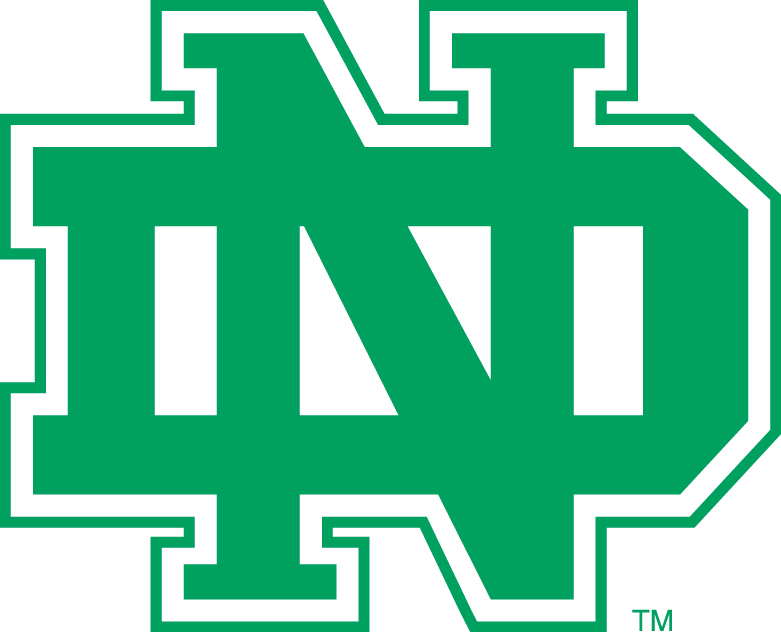 North Dakota Fighting Hawks 1974-2001 Alternate Logo diy iron on heat transfer